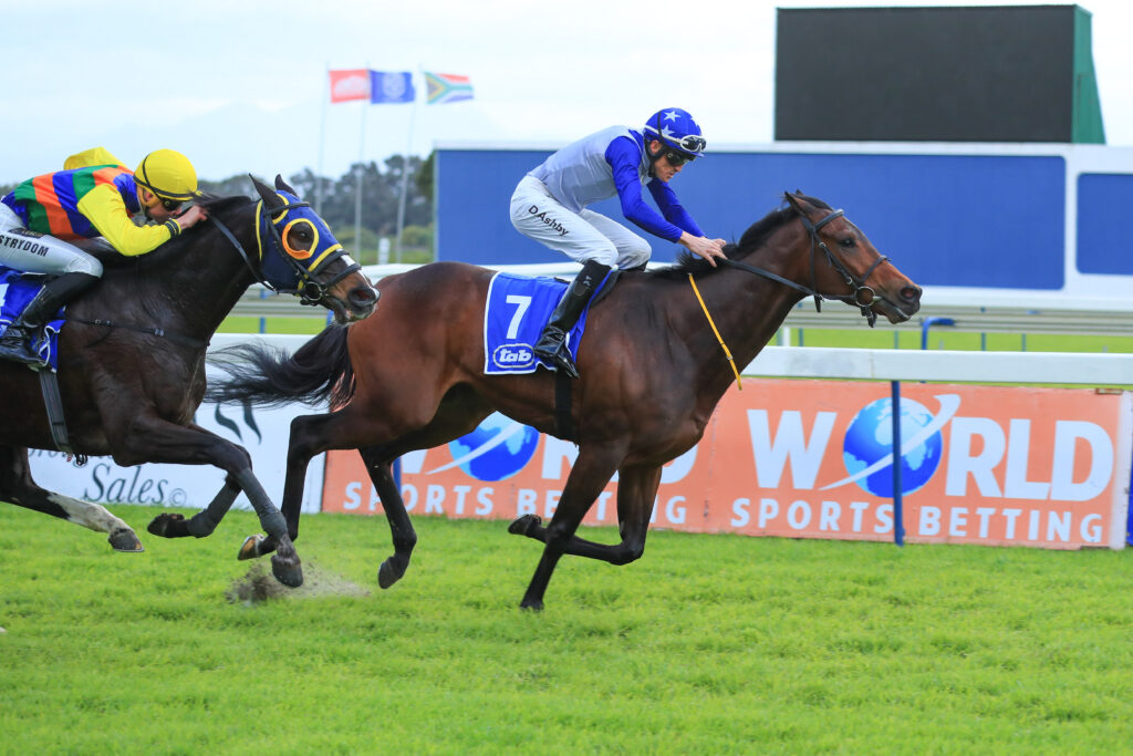 Sugar Mountain is a sweet bet