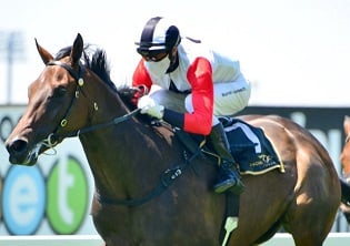 Summer arrives early for Peter