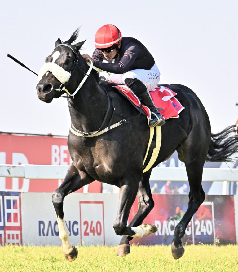 Summer Cup aspirants line up at Turffontein