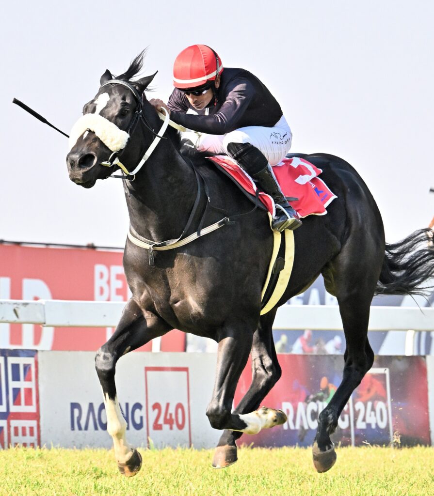 Summer Cup aspirants line up at Turffontein