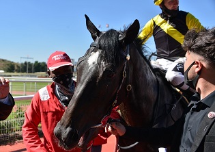 Summer Pudding even better