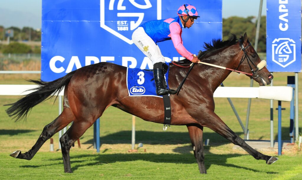 Surjay could have the edge in Cape Merchants