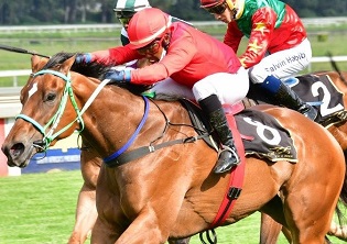 Sweet Sensation for Spies