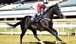 Four sprints the highlight on Vaal meeting