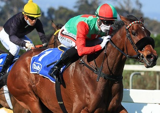 TAB Jackpot the bet to play as sprint stars square up