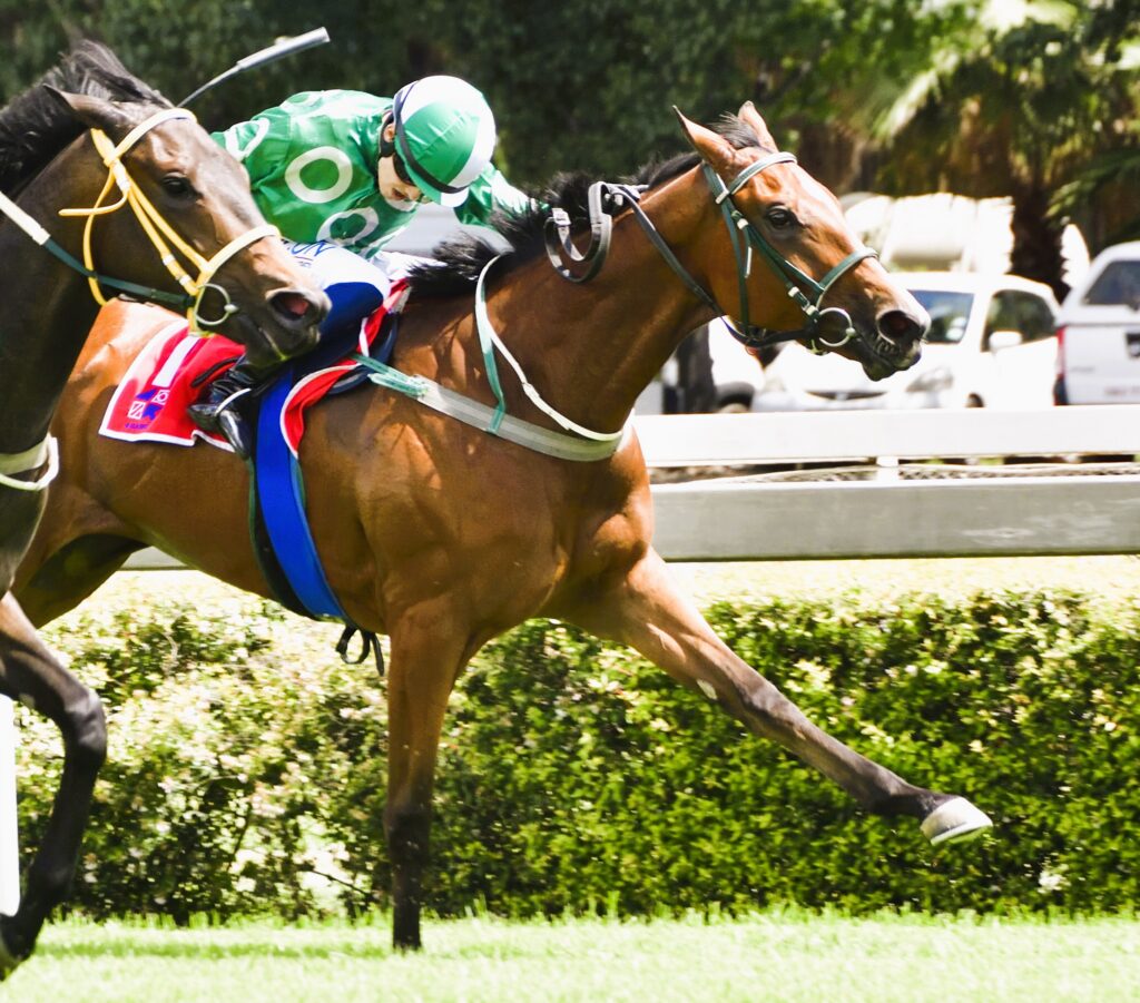 Take a trip Across The Pond