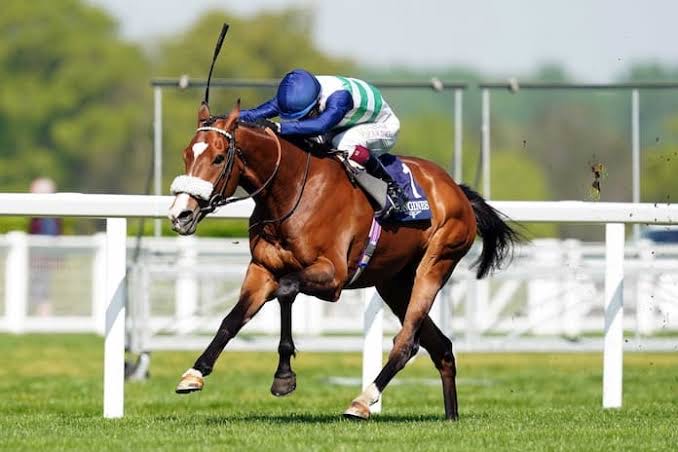 Take Coltrane to unlock Goodwood Cup