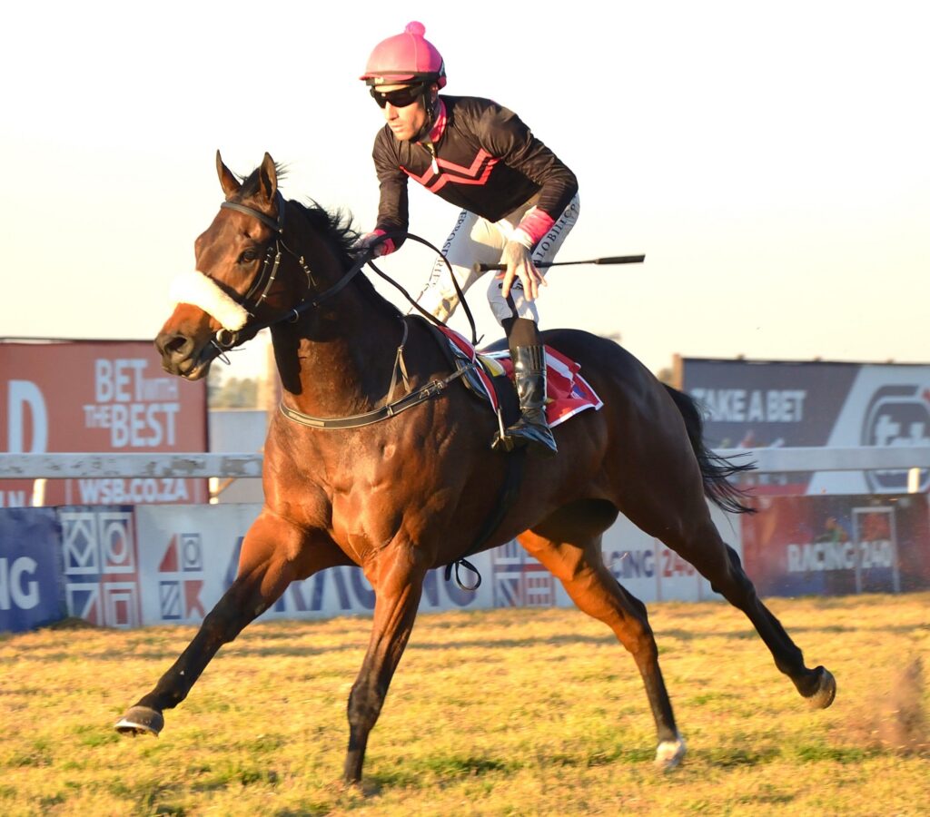 Take good aim at Lucky’s charge