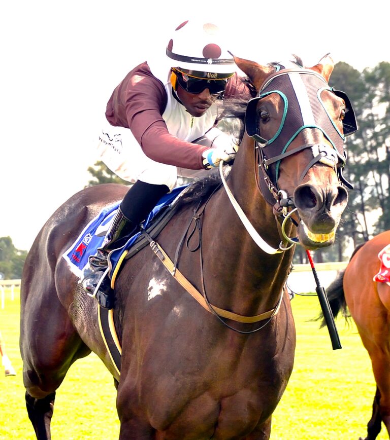 Tarry can come ‘To The Rescue’