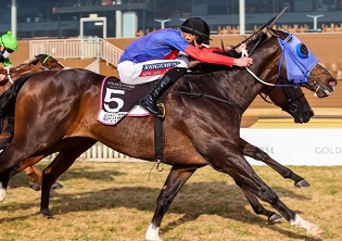 Tarry enters 7 in Charity Mile