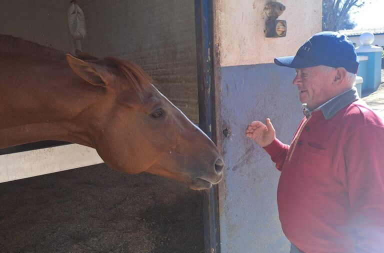 Tarry set for a pearl of a day