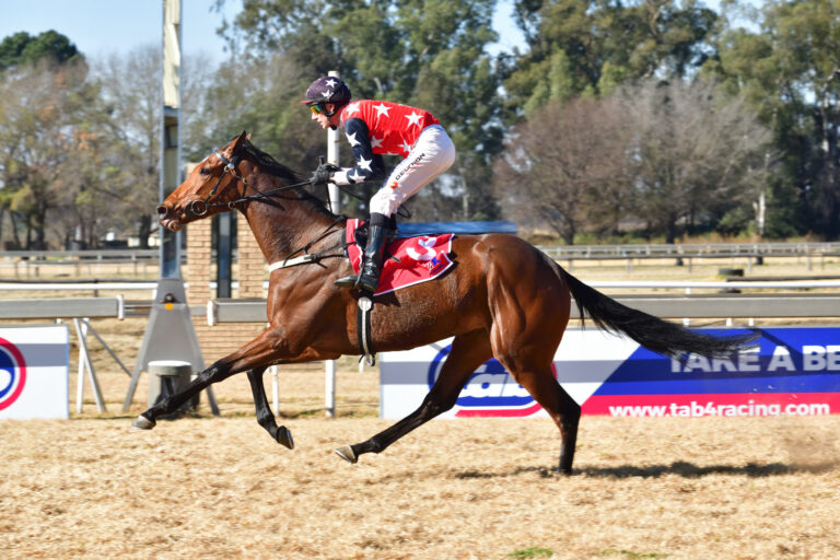 Tarry-trained fillies to hold sway