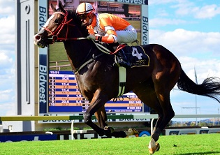 Tarry’s charge to leave punters spellbound