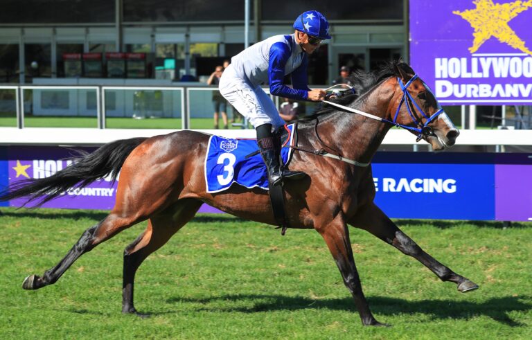 Tarry’s Comet to light up Kenilworth