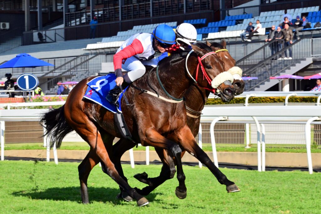 Tea-time for Billy in KZN