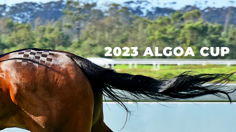 The 2023 ALGOA CUP – a full weekend in PE