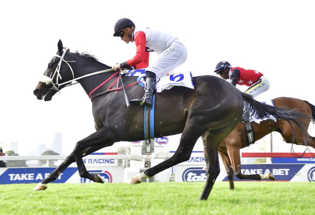 ‘The Championships Season’ Concludes with A Spectacular Finale on Freedom Day