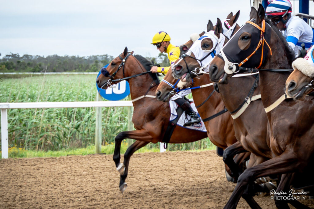 THE COMBO FOR STARTERS