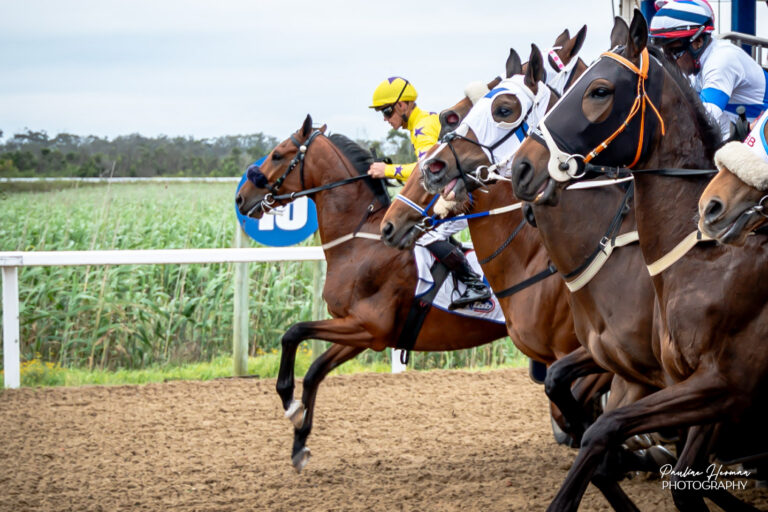 THE COMBO FOR STARTERS