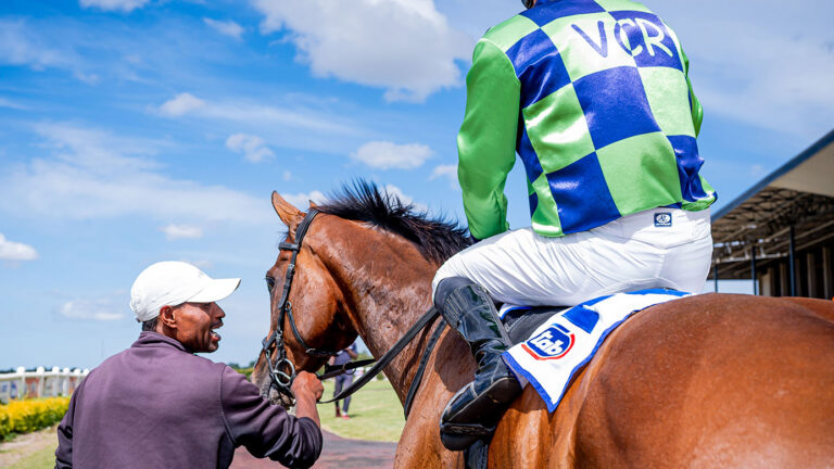 THE van Heerden DOUBLE