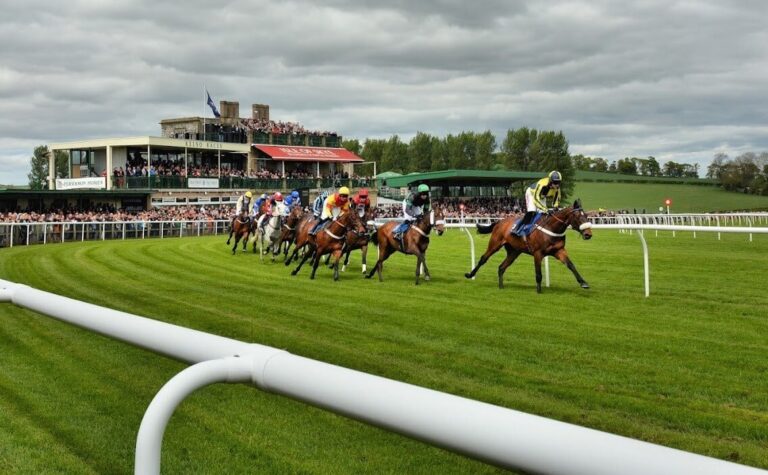 THEY WANT ME TO WIN AT KELSO