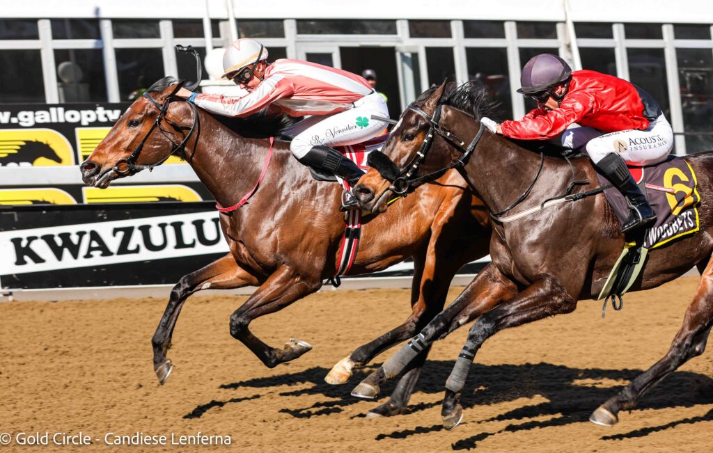 This Doll looks one to follow