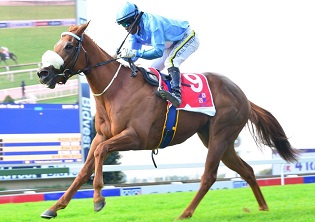 This one’s a proper Sheela