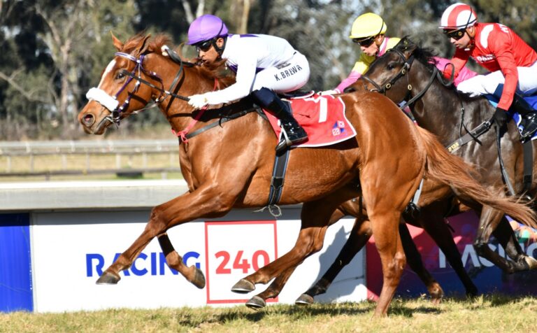 Three is the number to follow at Greyville