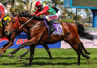 Three possible Pick 6 bankers on the Greyville Polytrack