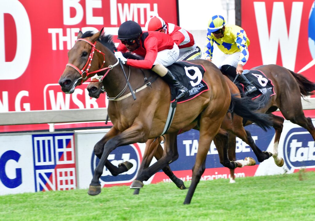 Three-year-olds on display at Turffontein