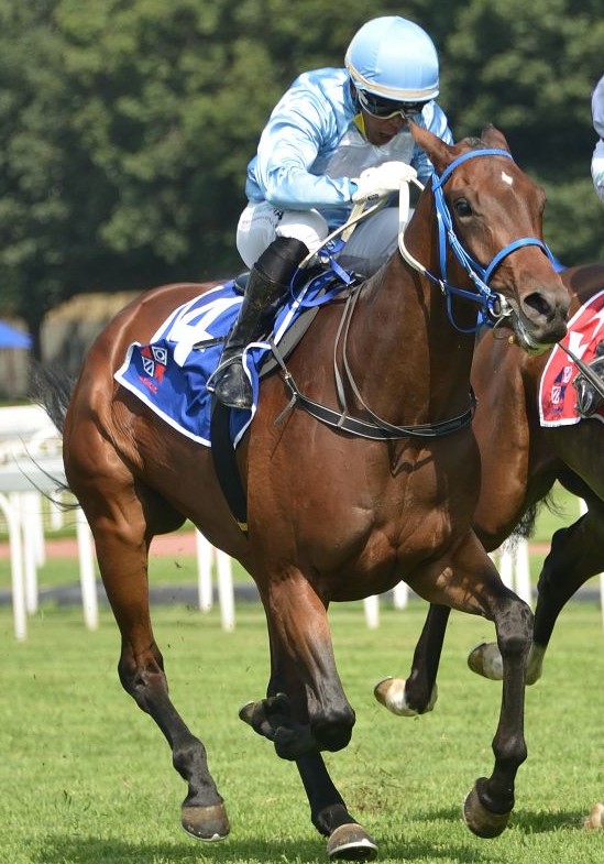 Three-year-olds preferred in Derby and Oaks