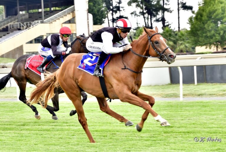 Three-year-olds to shine on Champions Day