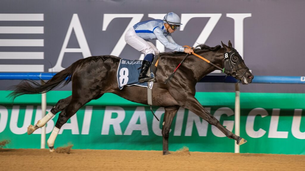 Tiger to pounce in UAE Guineas