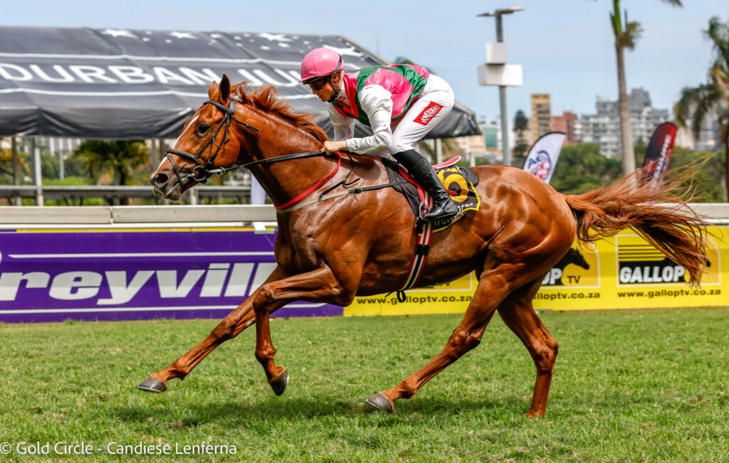 Time for Arverni King’s coronation