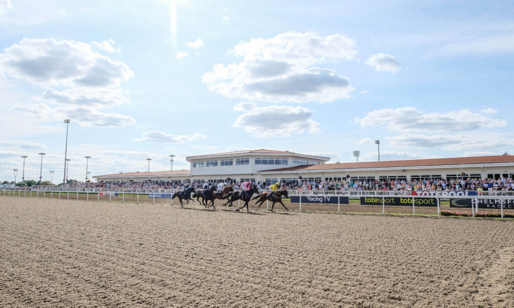 Time Tested solution for Chelmsford backers