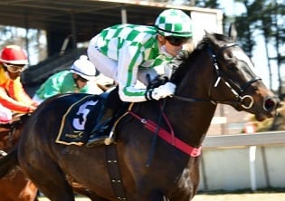 Times point to Abalus