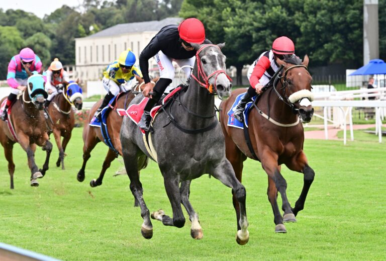 Top entries for Guineas Day