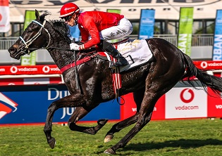 Top three-year-olds on show