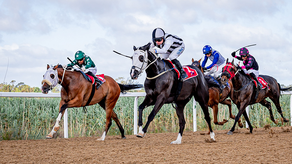 TOP YARDS AT IT AGAIN