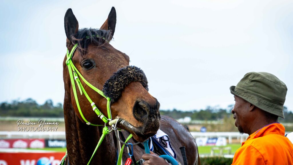 TRIBE CAN FIND THE TROPHY