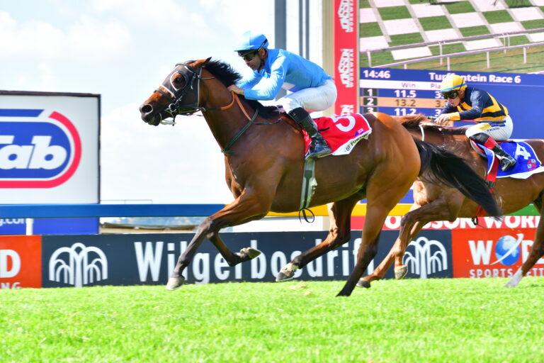 Trip Of Fortune tops Equus Award table