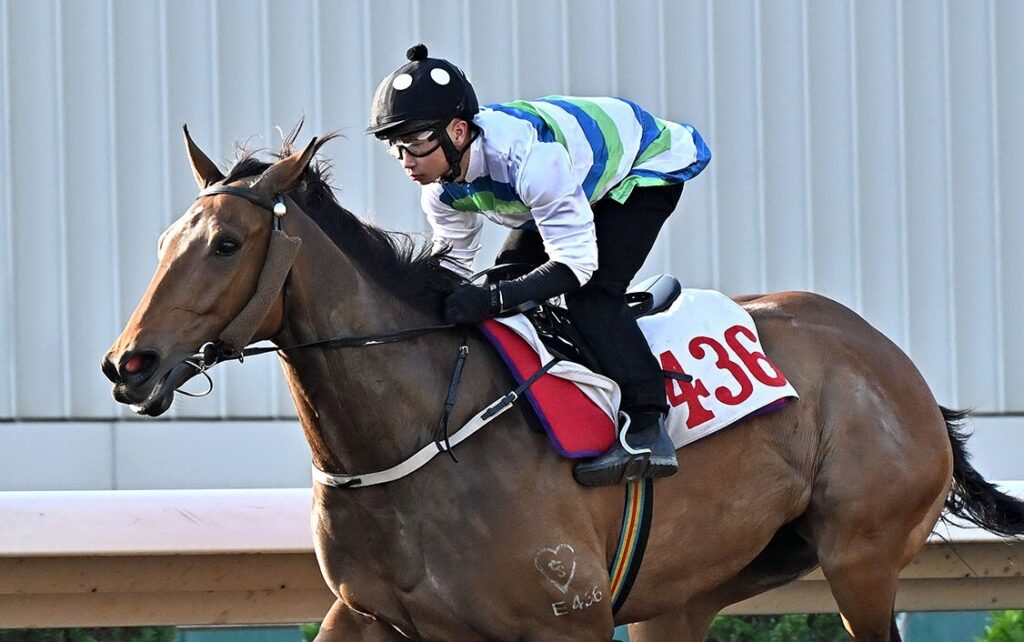 Triple Crown champ headlines G2 Sha Tin Trophy