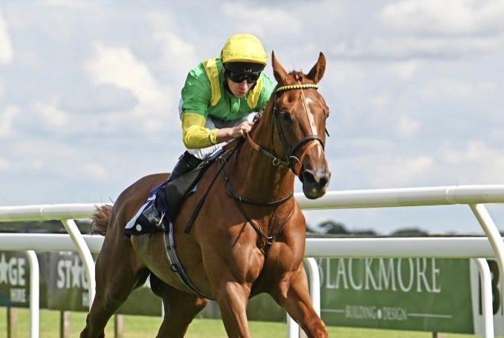 Trooper To Triumph Again