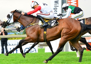 True To Life out of Senor Santa