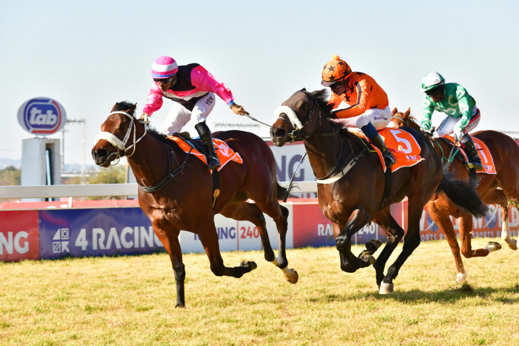 Turffontein run to prove the Theory