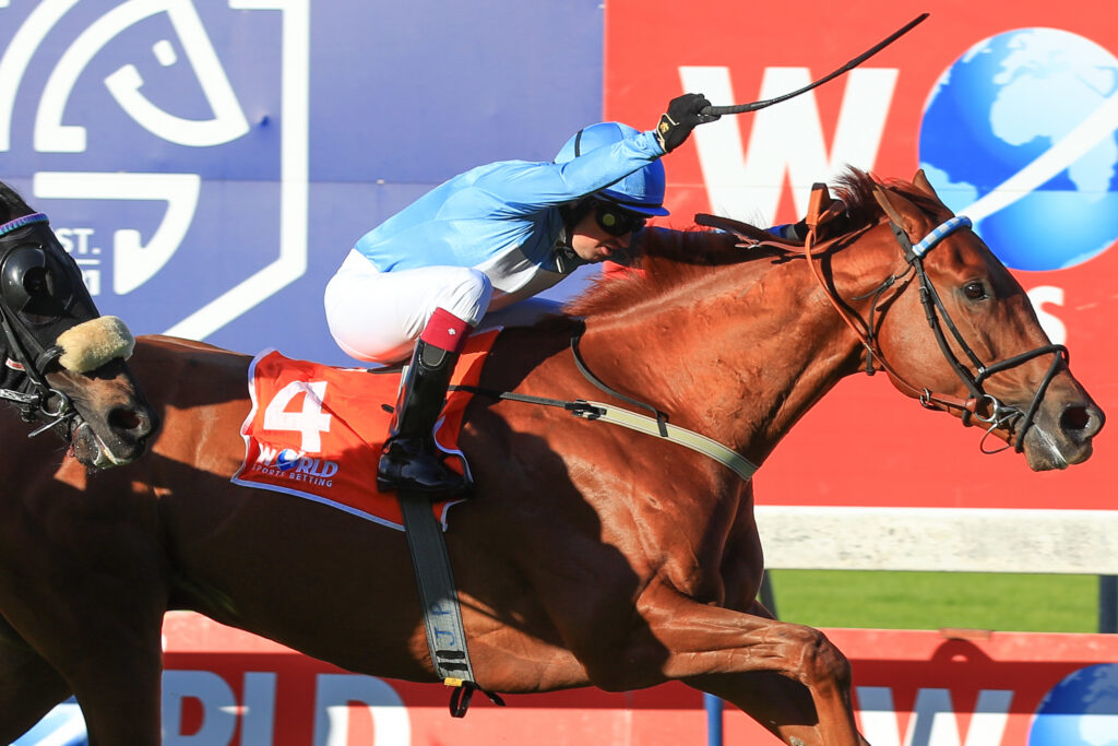 Two early bets stand out in the Cape