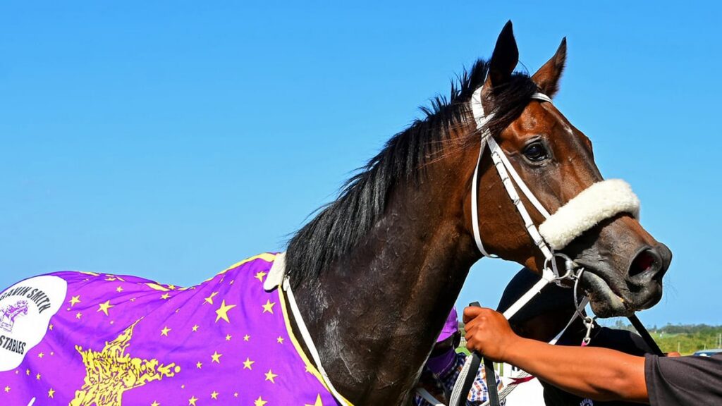 TWO LISTED EVENTS ON FRIDAY