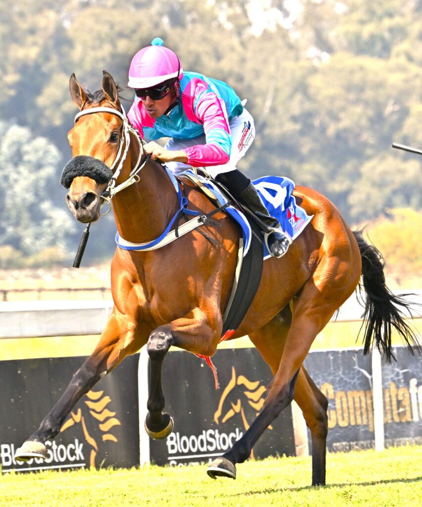 Tyrone’s filly could be one in a million