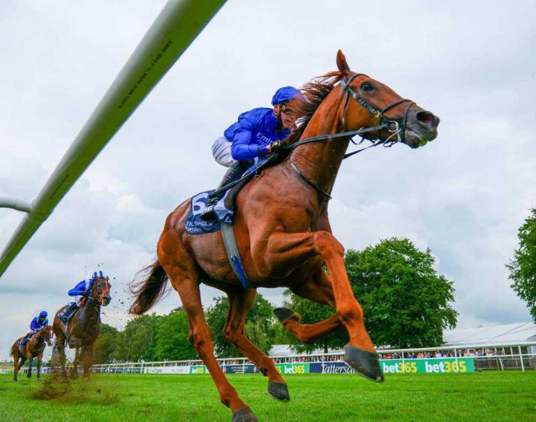 UK: Yibir To Go The Distance in Sandown Marathon