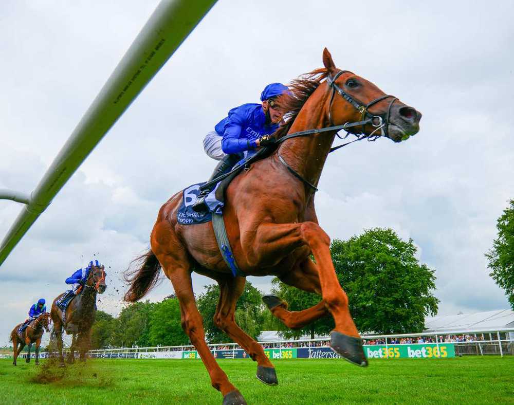 UK: Yibir To Go The Distance in Sandown Marathon